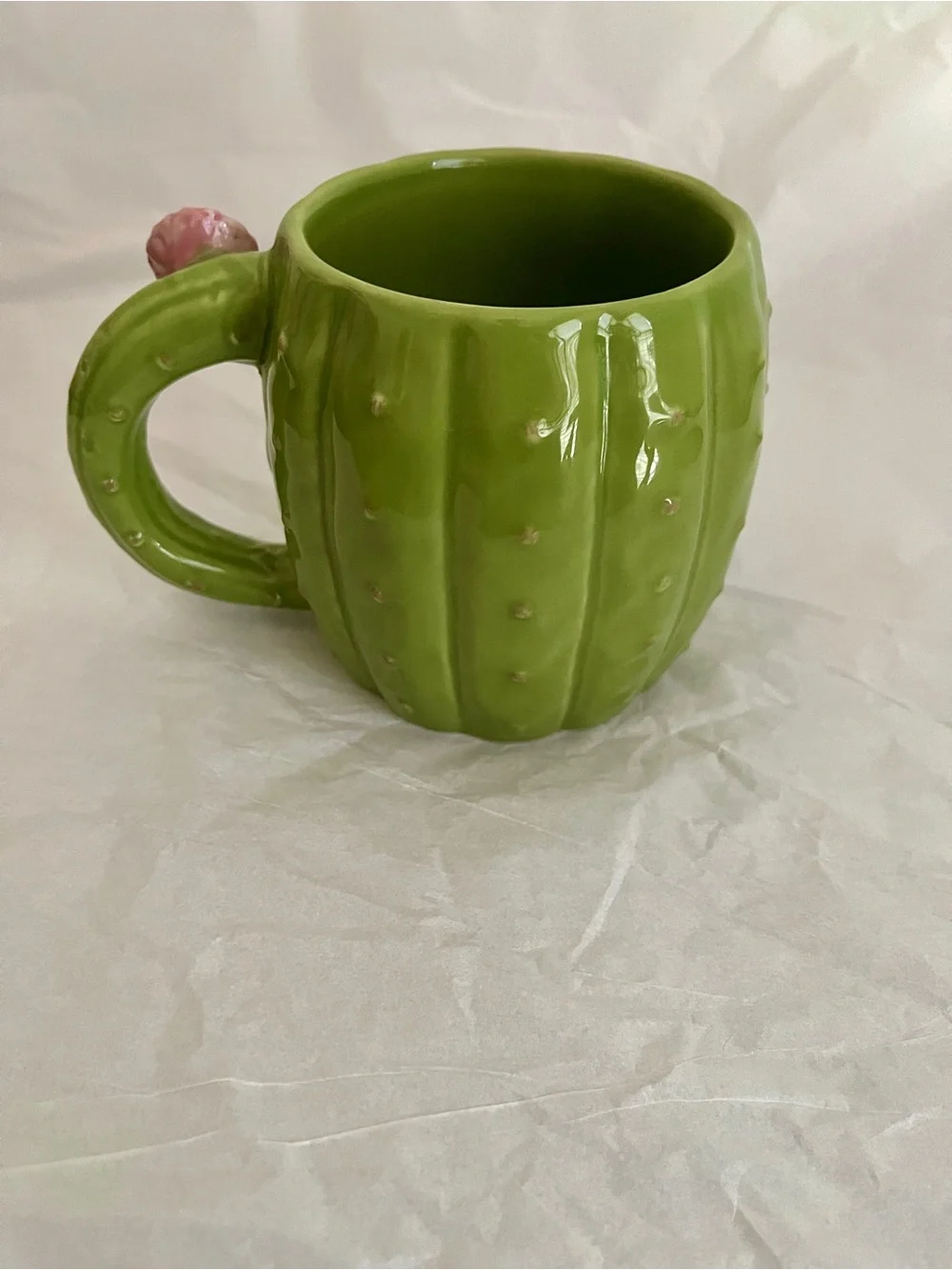 Pier 1 Cactus Flower Stoneware Mug 16 Oz  Green Pink Cottagecore Boho Cute